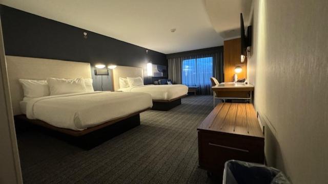 Courtyard By Marriott Kingston Otel Dış mekan fotoğraf