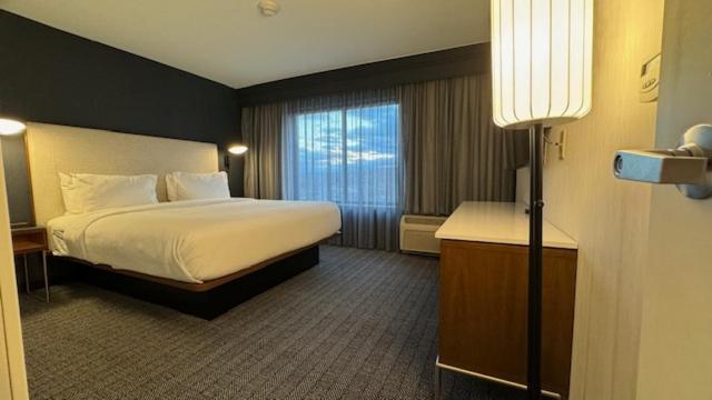 Courtyard By Marriott Kingston Otel Dış mekan fotoğraf